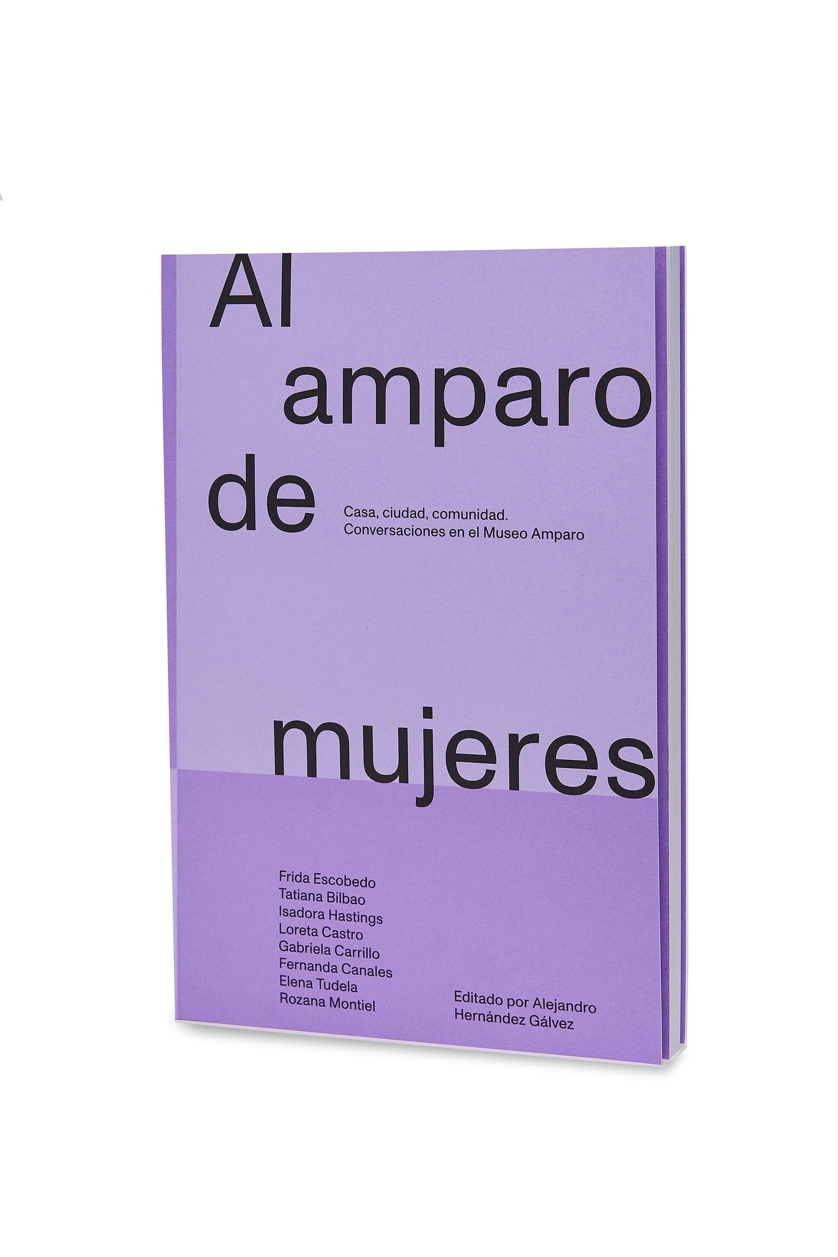 Al amparo de mujeres. Casa, ciudad, comunidad. Conversaciones en el Museo Amparo